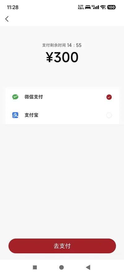 支付页面